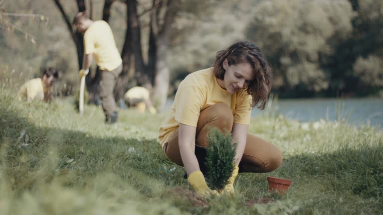 Best Lawn Irrigation Installation and Maintenance  in Tatum, TX